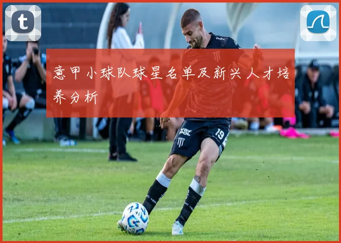 意甲小球队球星名单及新兴人才培养分析