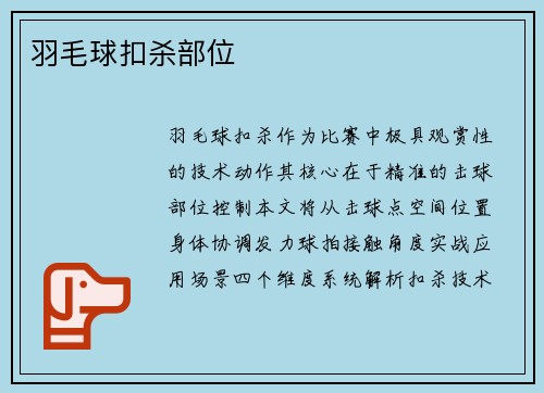 羽毛球扣杀部位