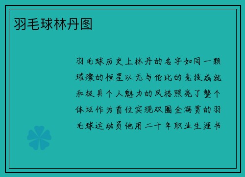 羽毛球林丹图