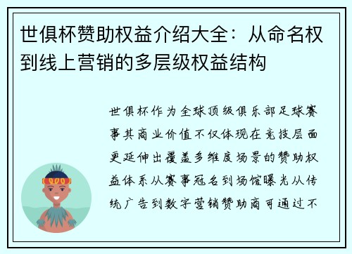 世俱杯赞助权益介绍大全：从命名权到线上营销的多层级权益结构